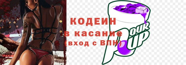 индика Арсеньев