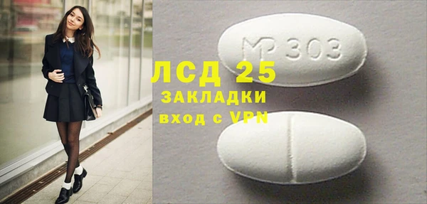 индика Арсеньев