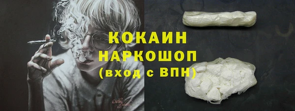 индика Арсеньев
