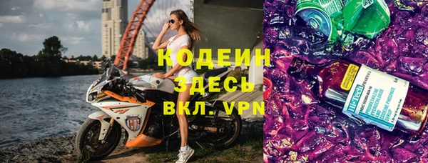 индика Арсеньев
