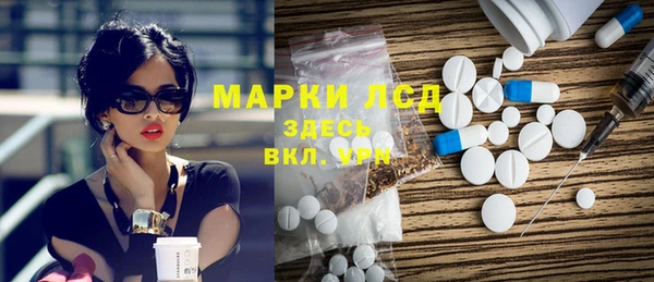 индика Арсеньев