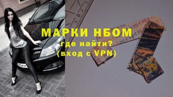 индика Арсеньев