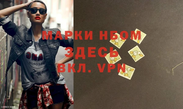 индика Арсеньев