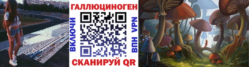 Галлюциногенные грибы Psilocybe Пошехонье